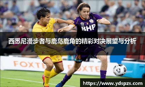 完美体育官方网站